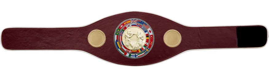 BOXING CHAMPIONSHIP BELT-PROFLAG/FLAG/G/BOXG-7 COLOURS